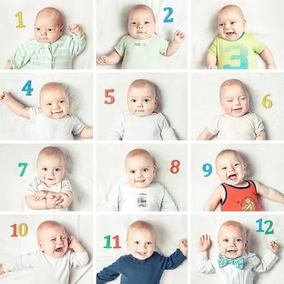 ᐉ Идеи фото ребенка по месяцам до года.- food4baby.com.ua