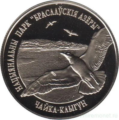 1 рубль 2003 года, цена монеты, описание самого дорогого рубля России -  Самые редкие и ценные монеты России и СССР