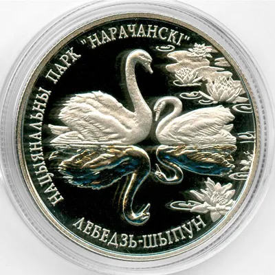 Нумизматика|монета Белоруссия 1 рубль 2003 года|купить 1 рубль Белоруссия|  описание монеты 2003 года - 1 рубль Белоруссия