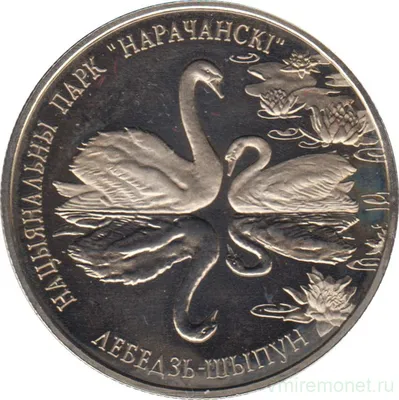 Монета Лебедь–шипун 1 рубль 2003 Беларусь | Характеристики, стоимость