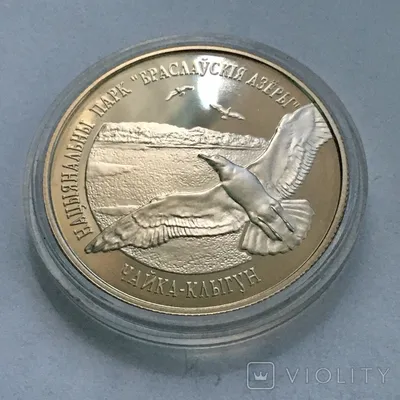 1 рубль 2003 года, цена монеты, описание самого дорогого рубля России -  Самые редкие и ценные монеты России и СССР