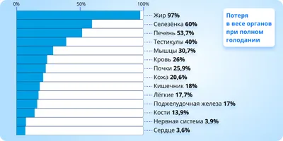 Мышцы во время голода | spagolod.ru