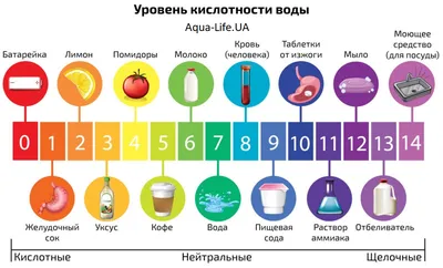 Новости / ФБУЗ Центр гигиены и эпидемиологии в Амурской области / Версия  для печати