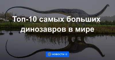 Топ-10 самых больших динозавров в мире - Новости Mail.ru