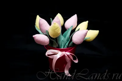 Фотографии тюльпан весенние Цветы Много 3840x2400