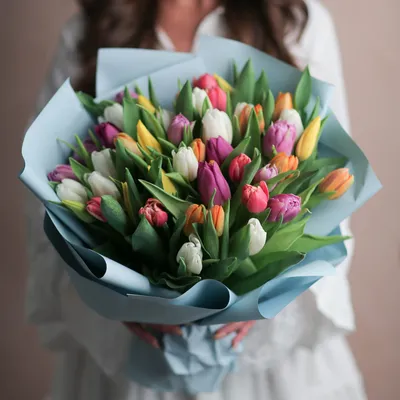 Тюльпаны весенние цветы Фон, весна, цветение персика, парк фон картинки и  Фото для бесплатной загрузки
