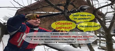 Обрезка плодовых деревьев весной. Услуги агрономов в Москве.