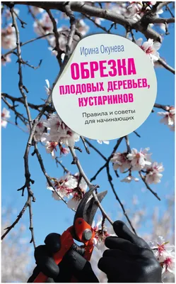 Весенняя обрезка плодовых деревьев и кустарников ранней весной — купить по  низкой цене на Яндекс Маркете