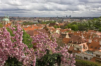 Весенняя Прага | Пикабу