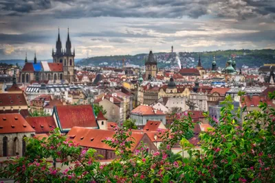 Прага, Чехия: все об отдыхе с детьми в Праге на портале Кидпассаж