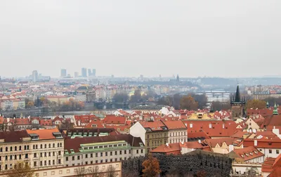 Цветущая Прага, весна в городе, весенняя Прага, розовое цветение – купить  онлайн на Ярмарке Мастеров – LJ4GWRU | Картины, Кемерово