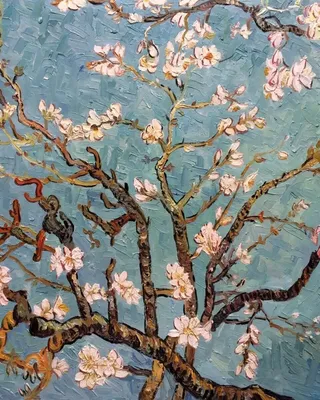 Копия картины Ван Гога \"Branches with Almond Blossom, 1885 (Цветущие ветки  миндаля)\