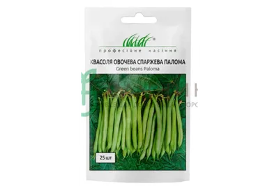 Фасоль Палома зеленая, 25 шт : Nunhems Zaden - семена купить в Киеве,  Украине фото, отзывы, описание - Дачник