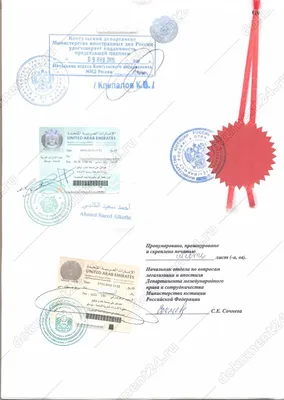 Рабочая виза в ОАЭ для россиян, украинцев и белорусов в 2023 году