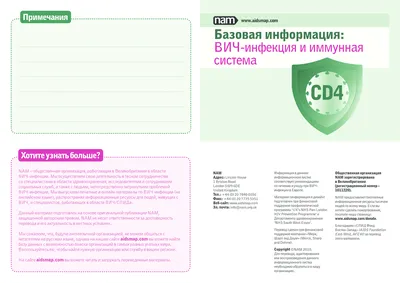 ВИЧ-инфекция и иммунная система | aidsmap