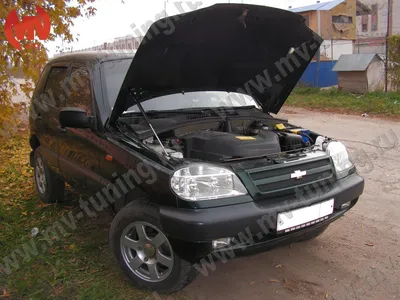 Упор капота Chevrolet Niva (2002-)