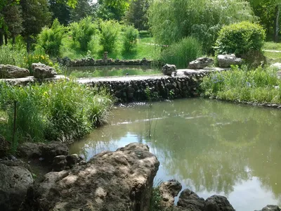 Водоем в ландшафтном дизайне: изысканно и просто.