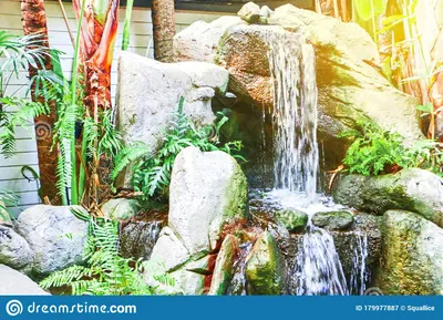 Сад с водопадом дома стоковое изображение. изображение насчитывающей кусты  - 179977887