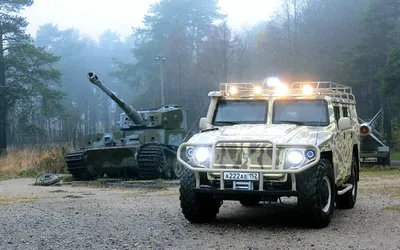 Фото Боевая техника Тигр на фоне тигра военные