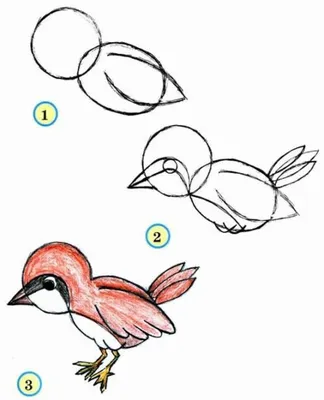 Воробей рисунок. Рисунок воробья. Растрепанный воробей рисунок. Как  нарисовать воробья. - YouTube