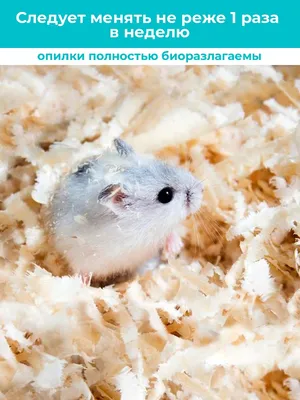 Little One Корм для крыс