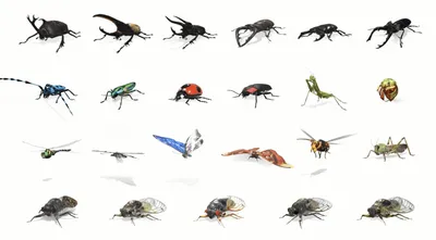 Как смотреть жуков, бабочек и других насекомых в 3D в Google -  AndroidInsider.ru