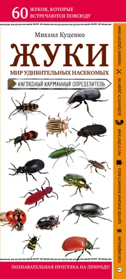 Жуки. Мир удивительных насекомых, Михаил Куценко – скачать книгу fb2, epub,  pdf на Литрес
