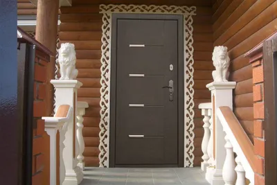 Стеклянная входная дверь: двойная алюминиевая в дом