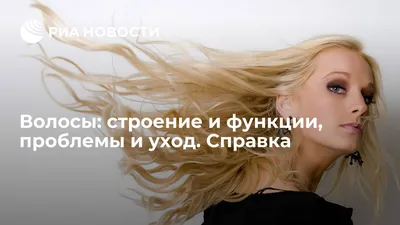 Волосы: строение и функции, проблемы и уход. Справка - РИА Новости,  24.06.2011