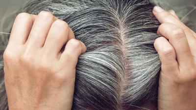 Ученые обнадежили тех, кто начал сидеть — волосы могут восстановить свой  цвет