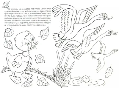 Иллюстрация 1 из 1 для Гадкий утёнок | Лабиринт - книги. Источник: Лабиринт
