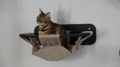 Гамаки для кошек | Смотреть 45 фото бесплатно