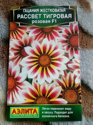 Гацания жестковатая РАССВЕТ ТИГРОВАЯ розовая f1\" ООО \"Агрофирма \"Аэлита\" -  «Хорошие стойкие цветущие \"тигрята\".» | отзывы