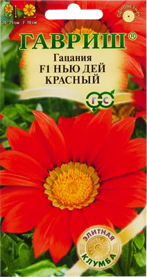 Гацания «Нью Дей красный» в пробирке, 5 шт. в Петрозаводске – купить по  низкой цене в интернет-магазине Леруа Мерлен