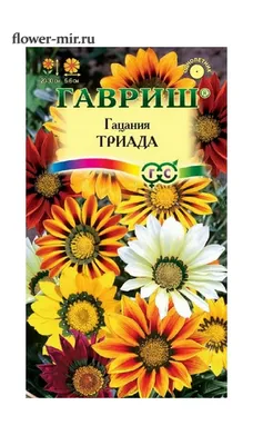 Гацания Триада, смесь крупноцветковая 0,05 гр. купить оптом в Томске по  цене 14,98 руб.