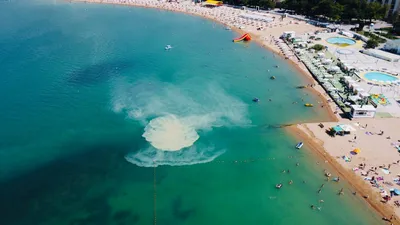 Большое мутное пятно появилось в Черном море у берегов Геленджика. 31  августа 2022 г. Кубанские новости