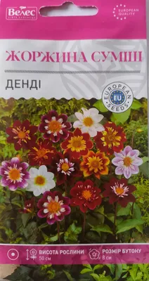 🌱 Георгина Помпон микс по цене от 69 руб: семена - купить в Москве с  доставкой - интернет-магазин Все Сорта