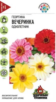 Георгина Коларетта Денди 0,25г – купить с доставкой по Украине