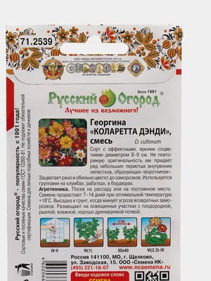 Георгина Веселые Ребята , смесь 0,3 купить оптом в Томске по цене 16,16 руб.