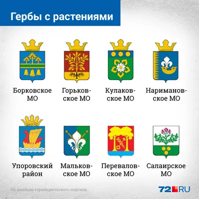 Самые странные и красивые гербы городов и районов Тюменской области - 11  сентября 2020 - 72.ru