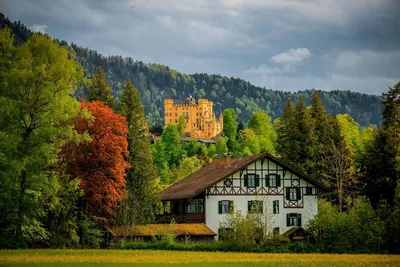 Природа Германии - фото и картинки: 56 штук
