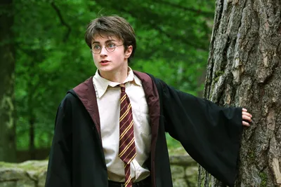 Гарри Поттер\": как менялись главные герои на протяжении съемок всех частей  саги – фотосравнение - Lifestyle 24