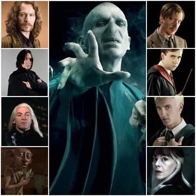 Лингвисты узнали, что означают имена героев в романах о Гарри Поттере —  Naked Science