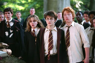 Кем стали герои Гарри Поттера после Битвы за Хогвартс – будущее героев  Гарри Поттера после фильма и книг, как сложилась судьба