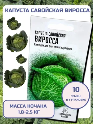 Вы издеваетесь? Она тоже из Европы?»: в магазинах Волгограда капуста  подорожала до 110 рублей за кило - 29 марта 2022 - v1.ru