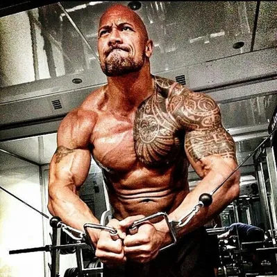 Картинка dwayne johnson, дуэйн джонсон, the rock, скала, рестлер, актёр,  кинопродюсер, качёк, здоровяк, тату 1024x768 скачать обои на рабочий стол  бесплатно, фото 232767