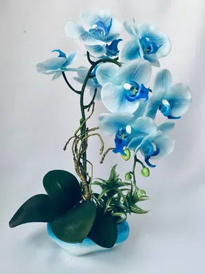 Голубая орхидея оазис – заказать на Ярмарке Мастеров – L0HNUBY |  Композиции, Старый Оскол