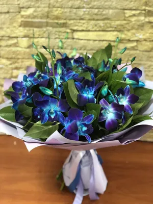 голубые орхидеи, орхидея синяя, цветы голубые, букет голубых цветов, синяя  орхидея цимбидиум, Флористика на свадьбу Москва