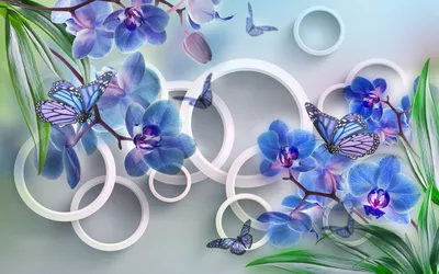 Обои макро, размытость, голубые, орхидеи картинки на рабочий стол, раздел  цветы - скачать