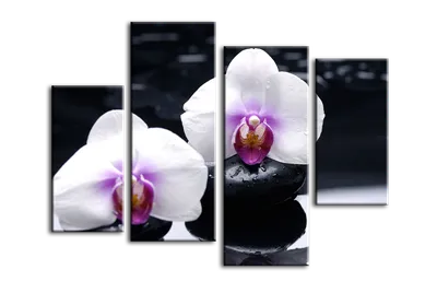 Дешевые часы настенные в зал Голубые орхидеи на черном фоне 30х40 см, цена  408 грн — Prom.ua (ID#1187982180)